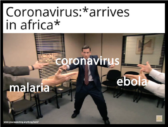 Best memes of 2020, best pandemic memes