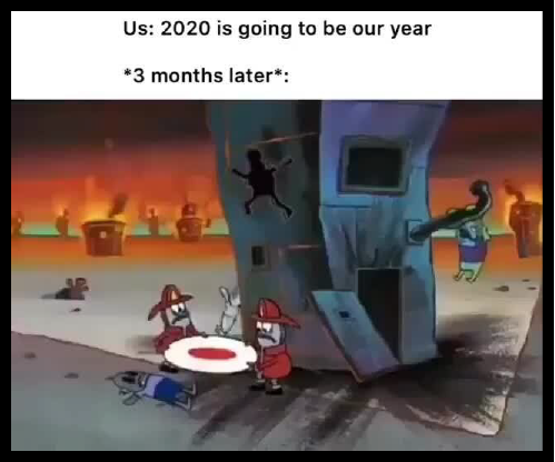 Best memes of 2020, best pandemic memes